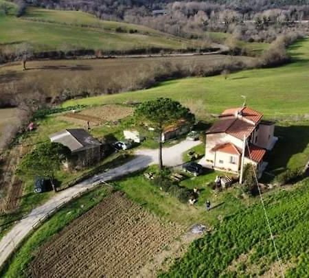 Apartamento Monolocale Stiacce Saturnia Exterior foto