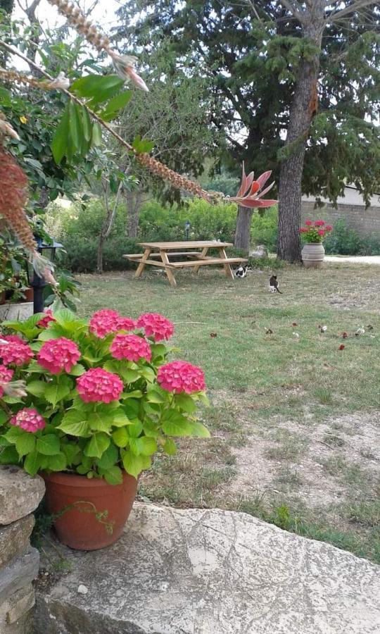 Apartamento Monolocale Stiacce Saturnia Exterior foto